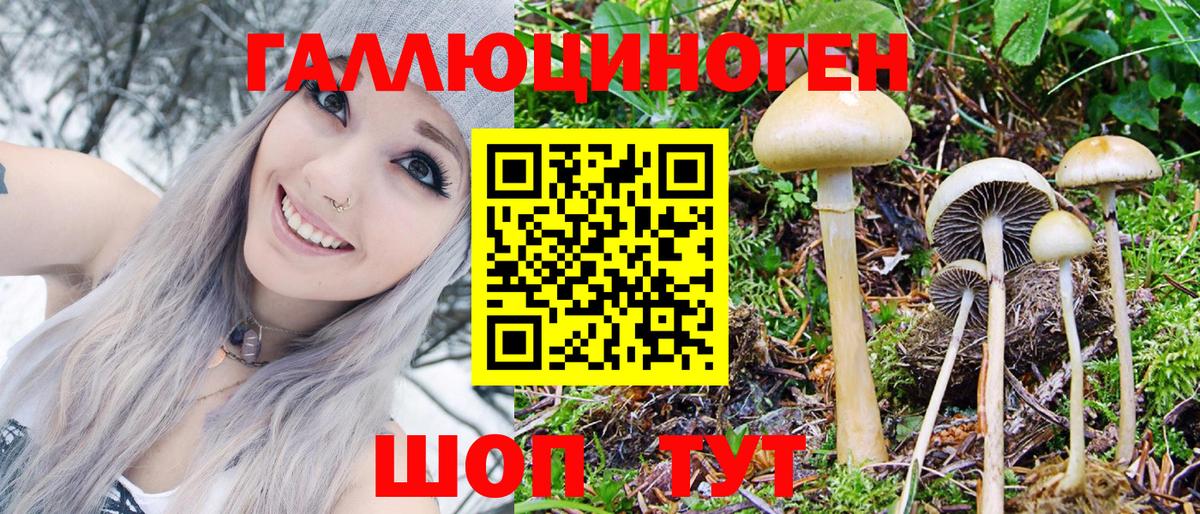 Галлюциногенные грибы Psilocybe  Вход с VPN  Черкесск 